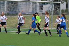 VfL Sindelfingen (B2) - Spfr. Gechingen (12.05.2019)