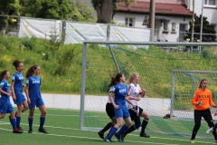 VfL Sindelfingen (B2) - Spfr. Gechingen (12.05.2019)