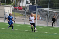 VfL Sindelfingen (B2) - Spfr. Gechingen (12.05.2019)