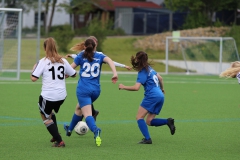 VfL Sindelfingen (B2) - Spfr. Gechingen (12.05.2019)