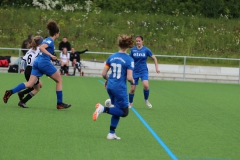 VfL Sindelfingen (B2) - Spfr. Gechingen (12.05.2019)