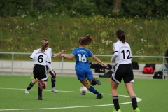 VfL Sindelfingen (B2) - Spfr. Gechingen (12.05.2019)