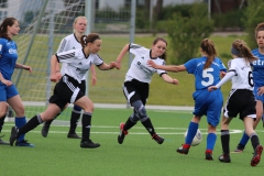 VfL Sindelfingen (B2) - Spfr. Gechingen (12.05.2019)