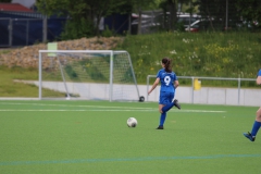 VfL Sindelfingen (B2) - Spfr. Gechingen (12.05.2019)