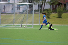 VfL Sindelfingen (B2) - Spfr. Gechingen (12.05.2019)