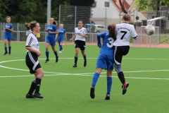 VfL Sindelfingen (B2) - Spfr. Gechingen (12.05.2019)