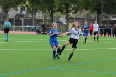 VfL Sindelfingen (B2) - Spfr. Gechingen (12.05.2019)