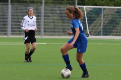 VfL Sindelfingen (B2) - Spfr. Gechingen (12.05.2019)