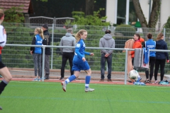 VfL Sindelfingen (B2) - Spfr. Gechingen (12.05.2019)