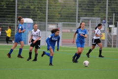 VfL Sindelfingen (B2) - Spfr. Gechingen (12.05.2019)