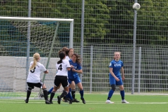 VfL Sindelfingen (B2) - Spfr. Gechingen (12.05.2019)