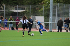 VfL Sindelfingen (B2) - Spfr. Gechingen (12.05.2019)