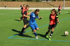 VfL Sindelfingen (B2) - SGM SV Schönbronn (30.09.2018)