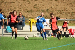 VfL Sindelfingen (B2) - SGM SV Schönbronn (30.09.2018)