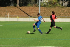 VfL Sindelfingen (B2) - SGM SV Schönbronn (30.09.2018)