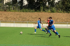 VfL Sindelfingen (B2) - SGM SV Schönbronn (30.09.2018)