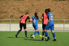 VfL Sindelfingen (B2) - SGM SV Schönbronn (30.09.2018)