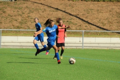 VfL Sindelfingen (B2) - SGM SV Schönbronn (30.09.2018)