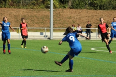 VfL Sindelfingen (B2) - SGM SV Schönbronn (30.09.2018)