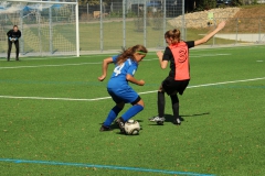 VfL Sindelfingen (B2) - SGM SV Schönbronn (30.09.2018)