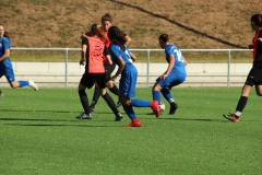 VfL Sindelfingen (B2) - SGM SV Schönbronn (30.09.2018)