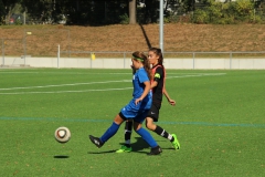 VfL Sindelfingen (B2) - SGM SV Schönbronn (30.09.2018)