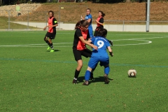 VfL Sindelfingen (B2) - SGM SV Schönbronn (30.09.2018)