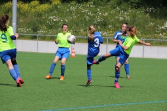 VfL Sindelfingen (C) - SC Neubulach (19.05.2019)