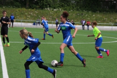 VfL Sindelfingen (C) - SC Neubulach (19.05.2019)