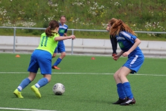 VfL Sindelfingen (C) - SC Neubulach (19.05.2019)