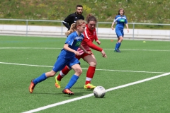 VfL Sindelfingen (C) - SGM Nufringen/Gärtringen/Rohrau (11.05.2019)