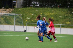 VfL Sindelfingen (C) - SGM Nufringen/Gärtringen/Rohrau (11.05.2019)