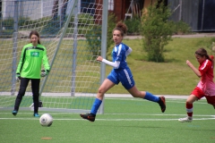 VfL Sindelfingen (C) - SGM Nufringen/Gärtringen/Rohrau (11.05.2019)