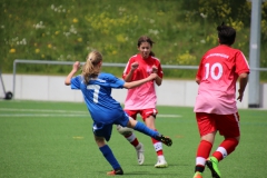 VfL Sindelfingen (C) - SGM Nufringen/Gärtringen/Rohrau (11.05.2019)