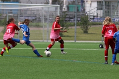 VfL Sindelfingen (C) - SGM Nufringen/Gärtringen/Rohrau (11.05.2019)