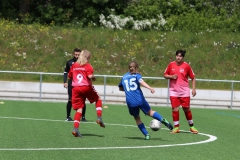 VfL Sindelfingen (C) - SGM Nufringen/Gärtringen/Rohrau (11.05.2019)
