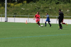 VfL Sindelfingen (C) - SGM Nufringen/Gärtringen/Rohrau (11.05.2019)