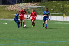 VfL Sindelfingen (C) - SGM Nufringen/Gärtringen/Rohrau (11.05.2019)