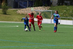 VfL Sindelfingen (C) - SGM Nufringen/Gärtringen/Rohrau (11.05.2019)