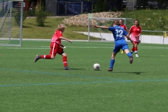 VfL Sindelfingen (C) - SGM Nufringen/Gärtringen/Rohrau (11.05.2019)