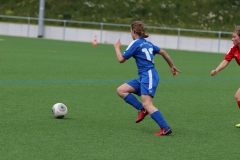 VfL Sindelfingen (C) - SGM Nufringen/Gärtringen/Rohrau (11.05.2019)