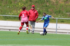 VfL Sindelfingen (C) - SGM Nufringen/Gärtringen/Rohrau (11.05.2019)