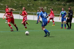 VfL Sindelfingen (C) - SGM Nufringen/Gärtringen/Rohrau (11.05.2019)