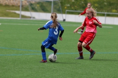 VfL Sindelfingen (C) - SGM Nufringen/Gärtringen/Rohrau (11.05.2019)