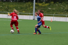 VfL Sindelfingen (C) - SGM Nufringen/Gärtringen/Rohrau (11.05.2019)