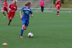 VfL Sindelfingen (C) - SGM Nufringen/Gärtringen/Rohrau (11.05.2019)