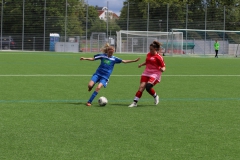 VfL Sindelfingen (C) - SGM Nufringen/Gärtringen/Rohrau (11.05.2019)