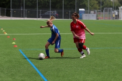 VfL Sindelfingen (C) - SGM Nufringen/Gärtringen/Rohrau (11.05.2019)