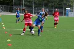 VfL Sindelfingen (C) - SGM Nufringen/Gärtringen/Rohrau (11.05.2019)