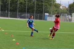 VfL Sindelfingen (C) - SGM Nufringen/Gärtringen/Rohrau (11.05.2019)